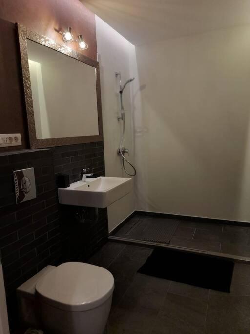 Alto Studio & Free Private Parking 布拉索夫 外观 照片