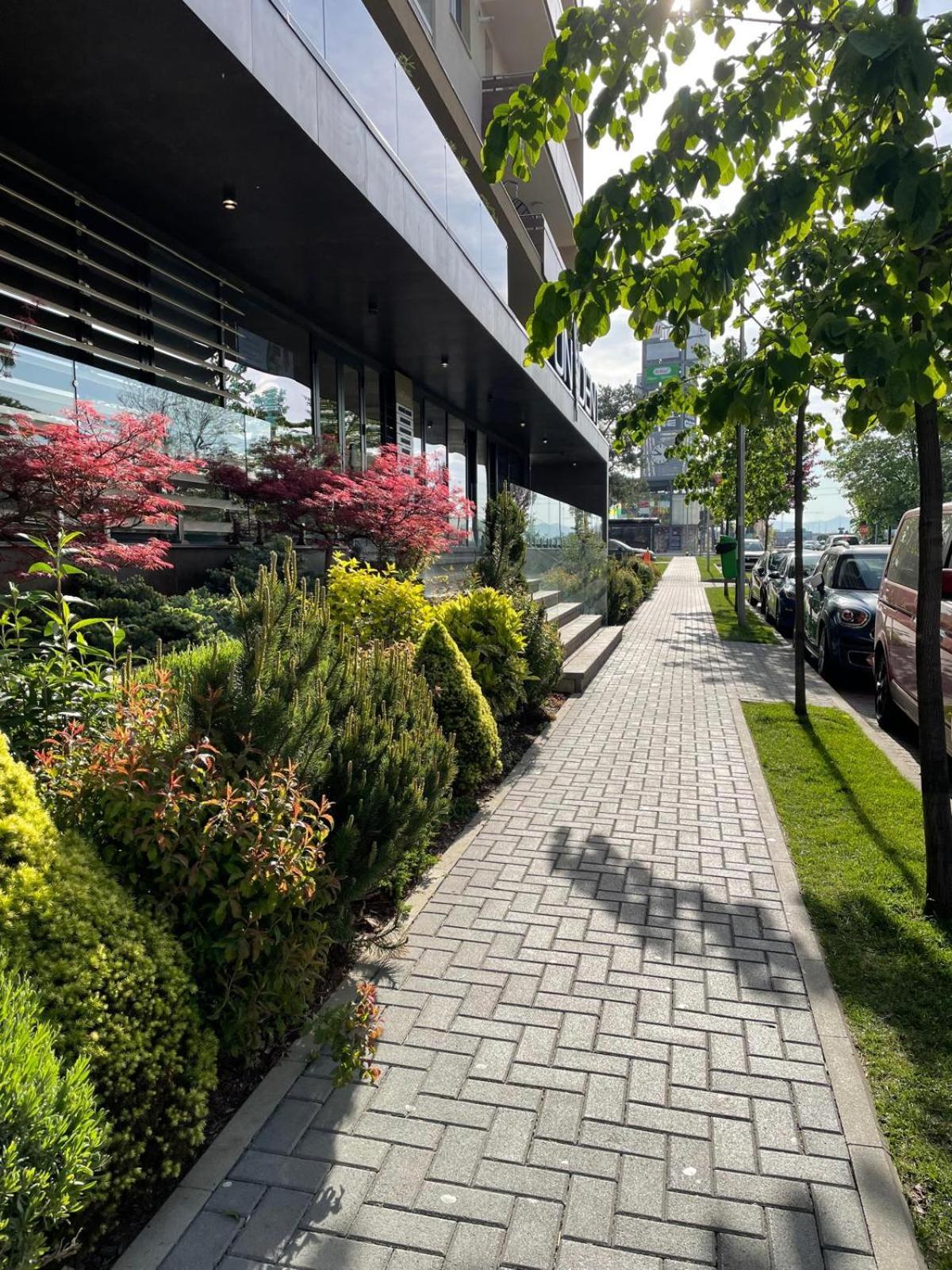 Alto Studio & Free Private Parking 布拉索夫 外观 照片