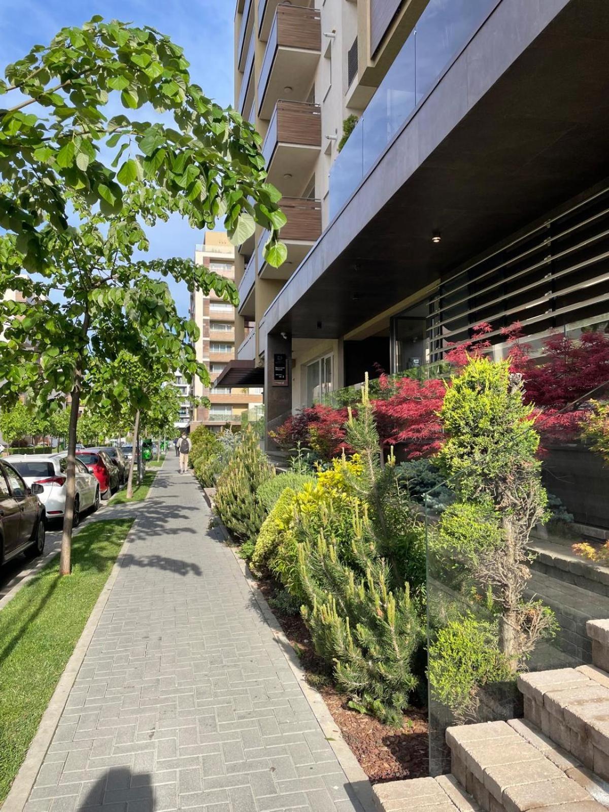 Alto Studio & Free Private Parking 布拉索夫 外观 照片
